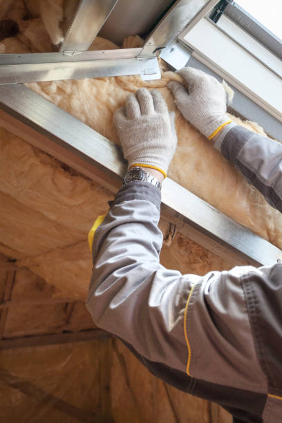 Best Insulation Installation Services in Elkins, WV