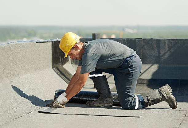 Best Specialty Insulation in Elkins, WV